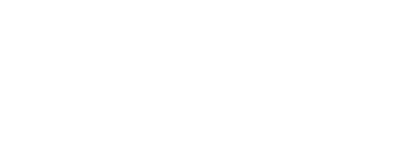 carnival