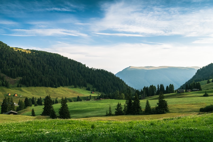 Embracing AI: Transforming Your Coaching Practice